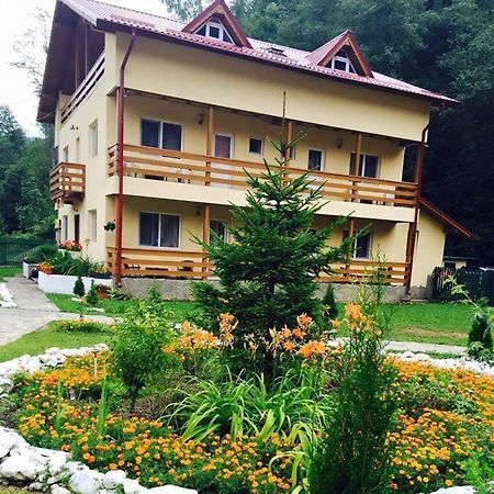 Pensiunea La Padure Cheia, Prahova Hotel Maneciu Luaran gambar