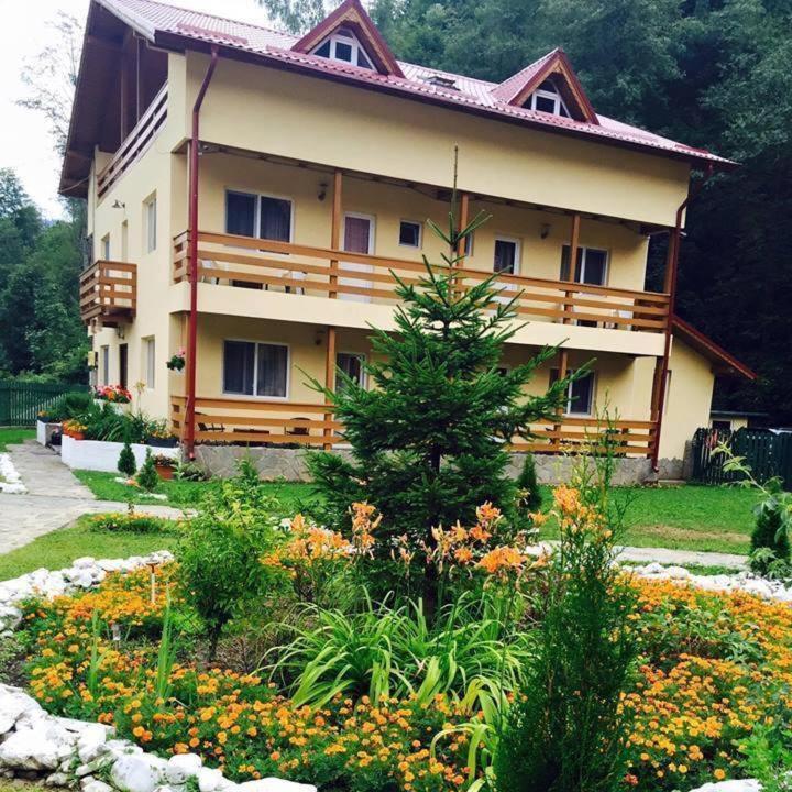 Pensiunea La Padure Cheia, Prahova Hotel Maneciu Luaran gambar