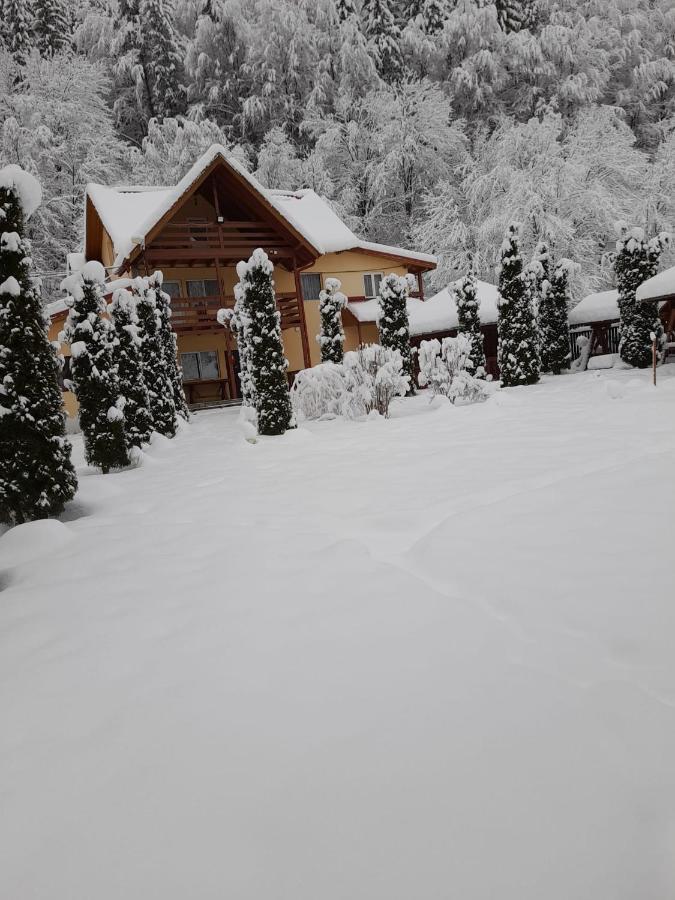 Pensiunea La Padure Cheia, Prahova Hotel Maneciu Luaran gambar