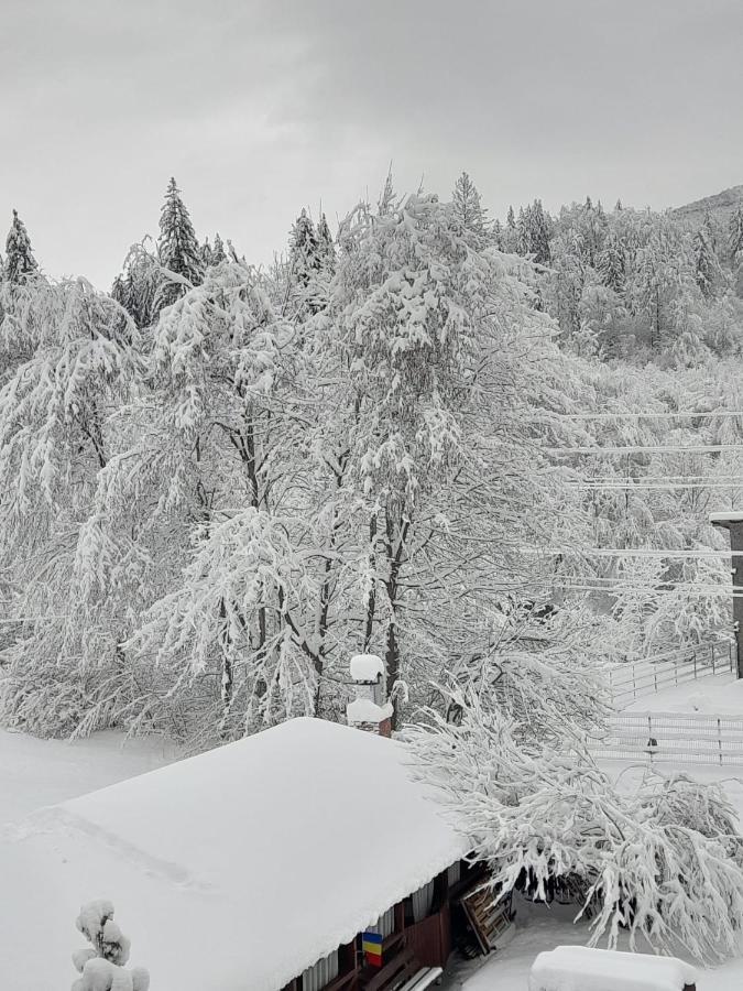Pensiunea La Padure Cheia, Prahova Hotel Maneciu Luaran gambar