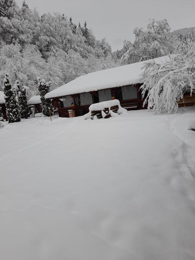 Pensiunea La Padure Cheia, Prahova Hotel Maneciu Luaran gambar