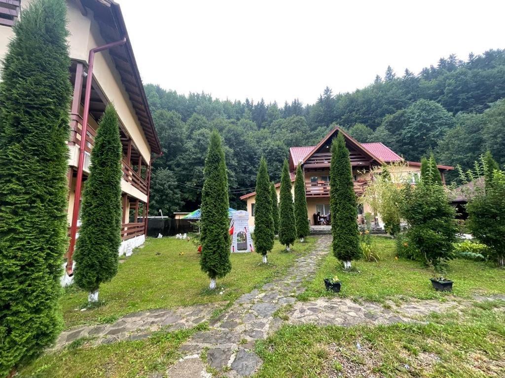 Pensiunea La Padure Cheia, Prahova Hotel Maneciu Luaran gambar