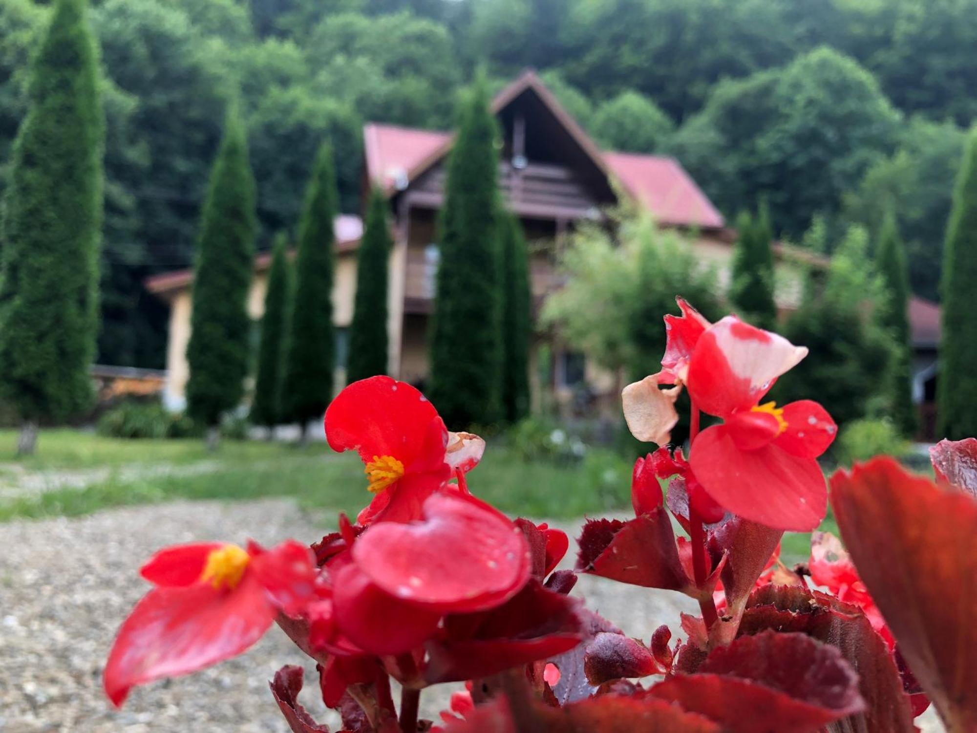 Pensiunea La Padure Cheia, Prahova Hotel Maneciu Luaran gambar