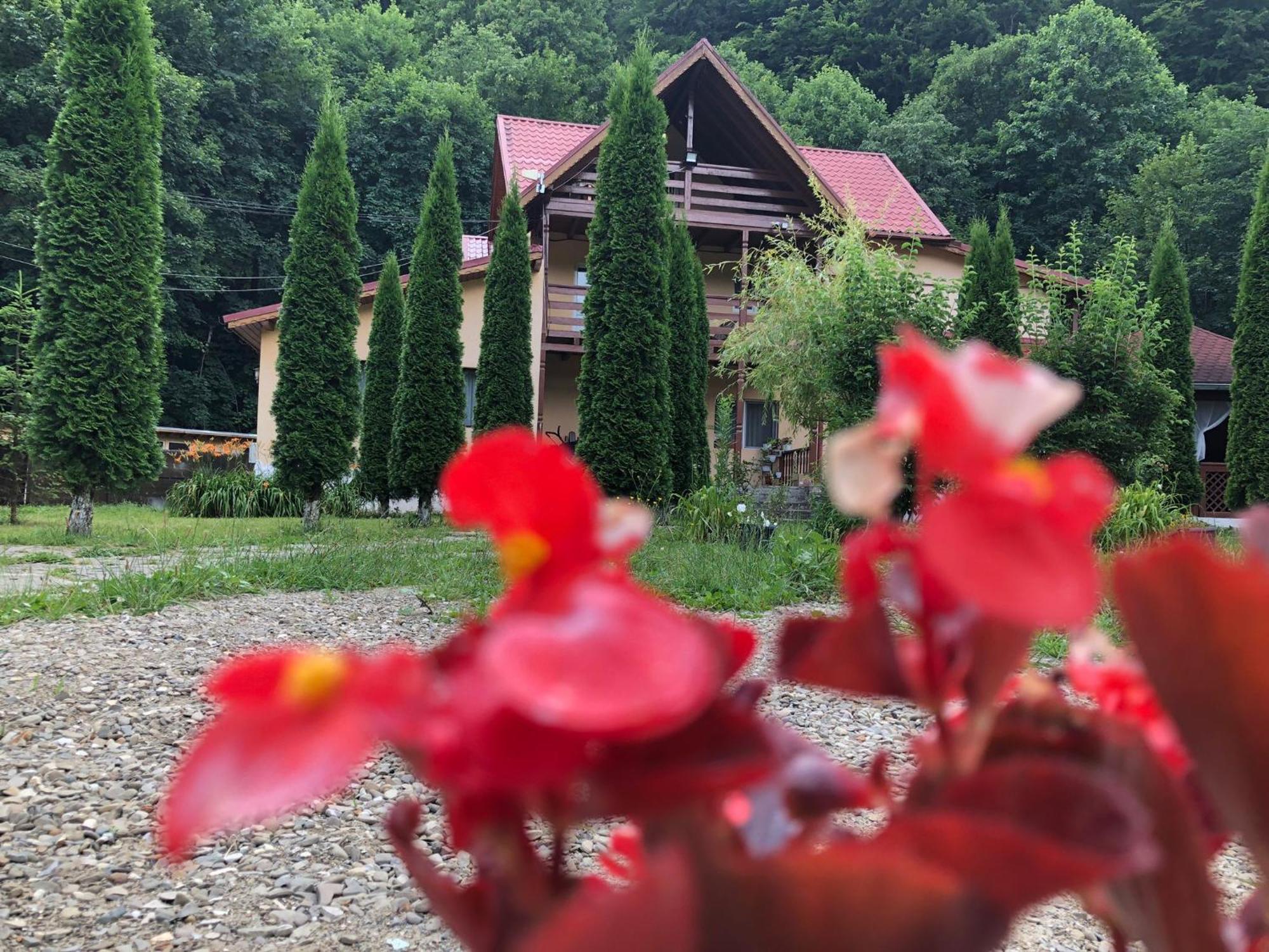 Pensiunea La Padure Cheia, Prahova Hotel Maneciu Luaran gambar
